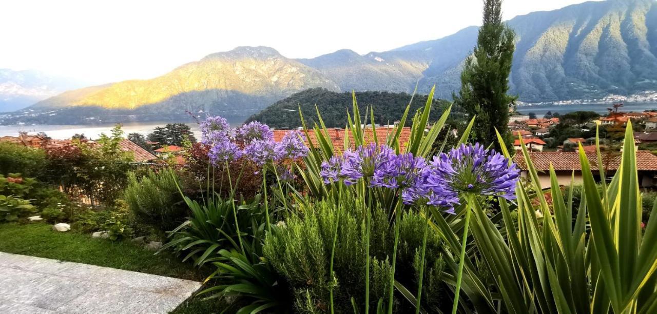 Magic Garden With Jacuzzi-Pool And Luxury Lake Como View Lenno Exterior photo